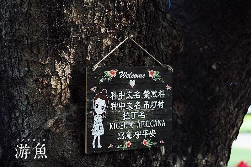 句容检察：“圆桌会议”推动家庭过期药品回收